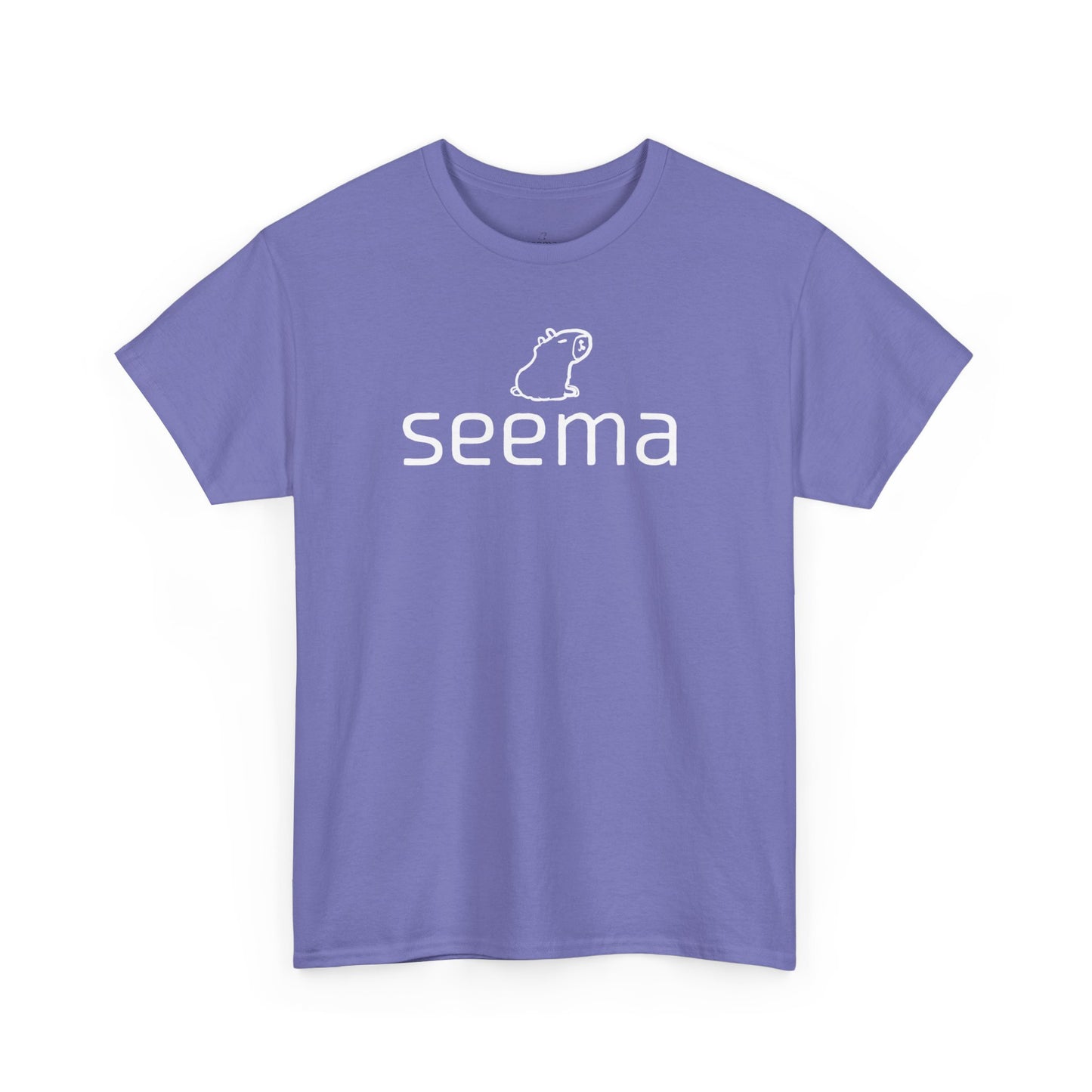 Unisex Heavy Cotton seema Unisex Tee