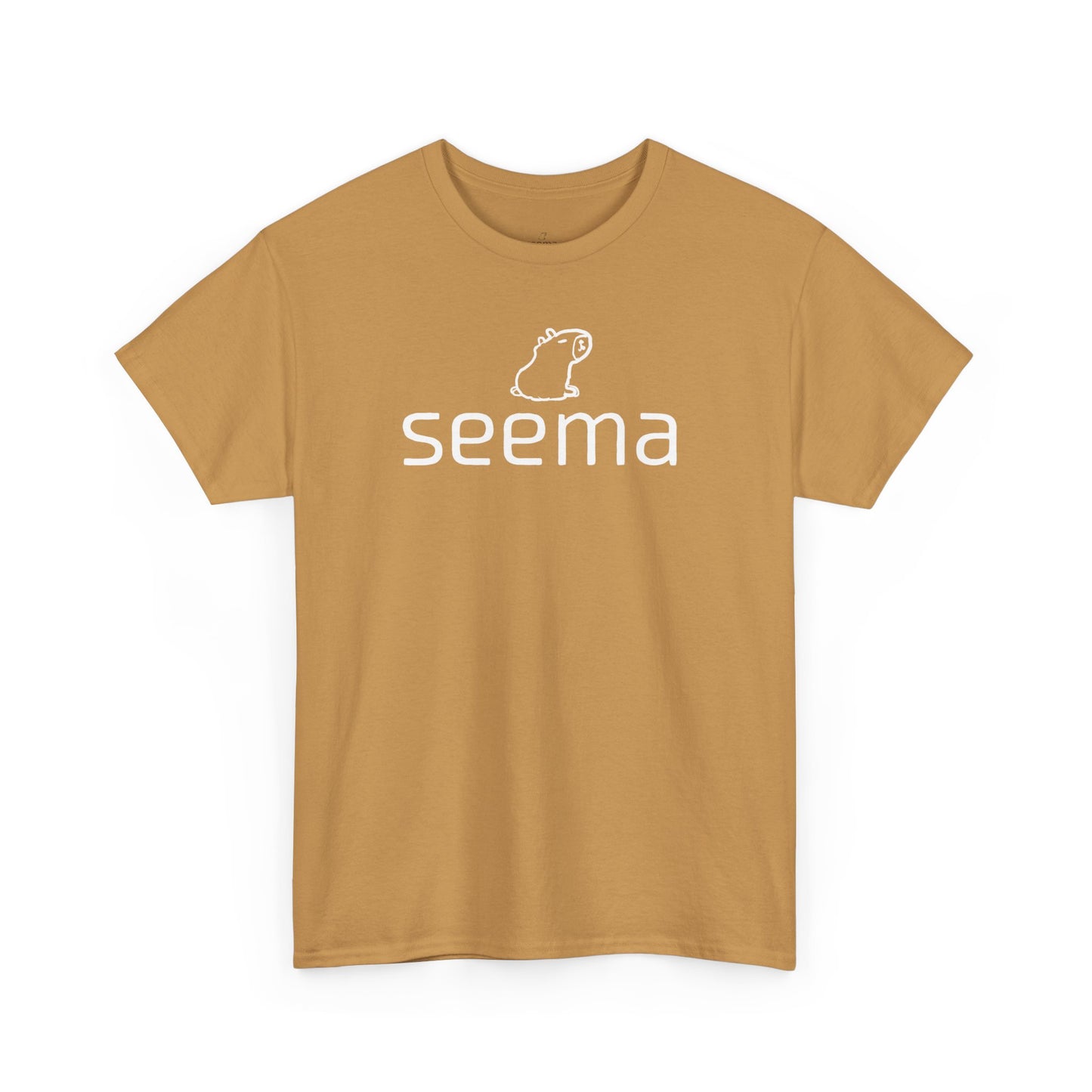Unisex Heavy Cotton seema Unisex Tee