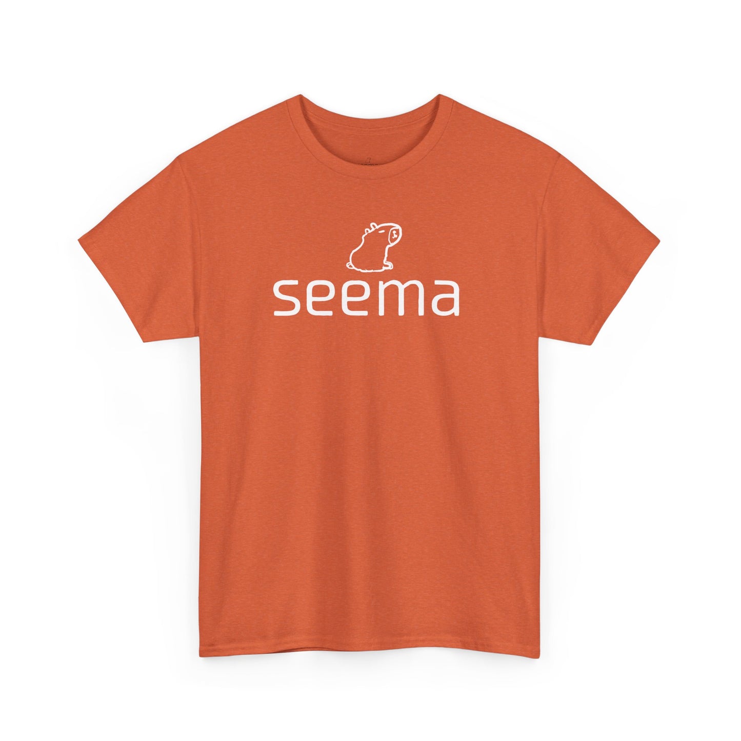 Unisex Heavy Cotton seema Unisex Tee