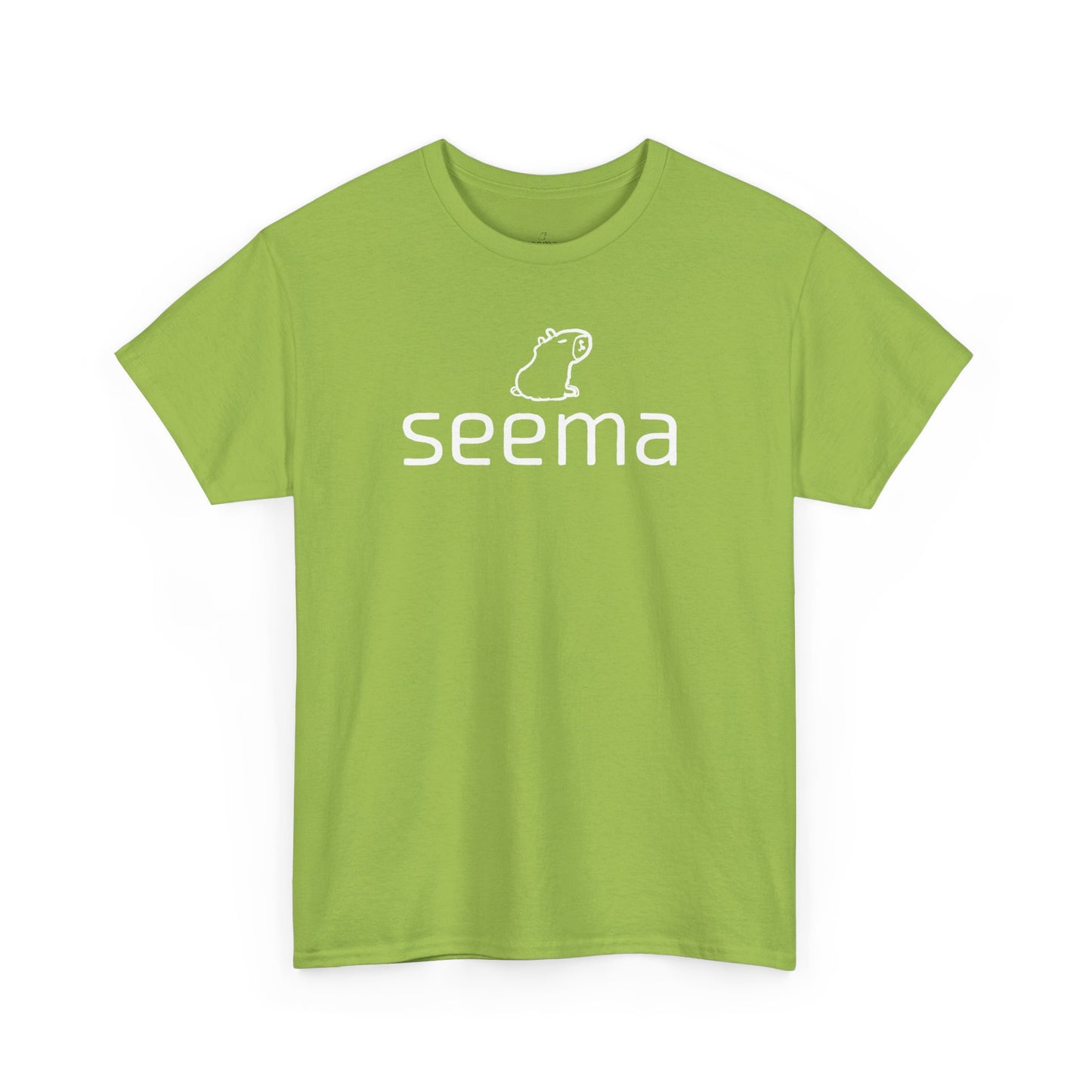 Unisex Heavy Cotton seema Unisex Tee