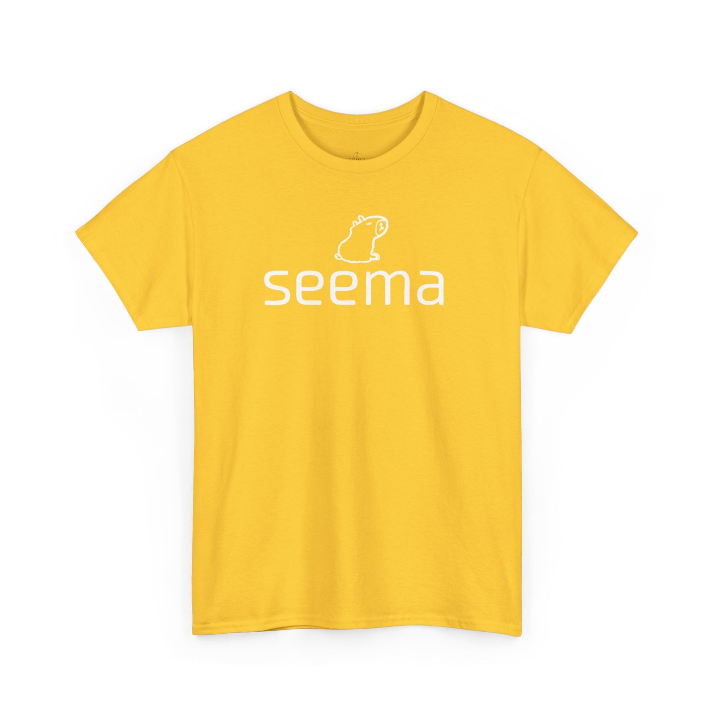 Unisex Heavy Cotton seema Unisex Tee