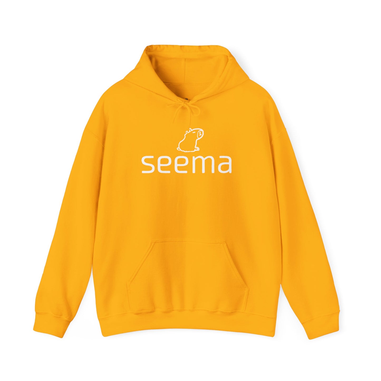 Unisex Heavy Blend™ seema Hooded Sweatshirt